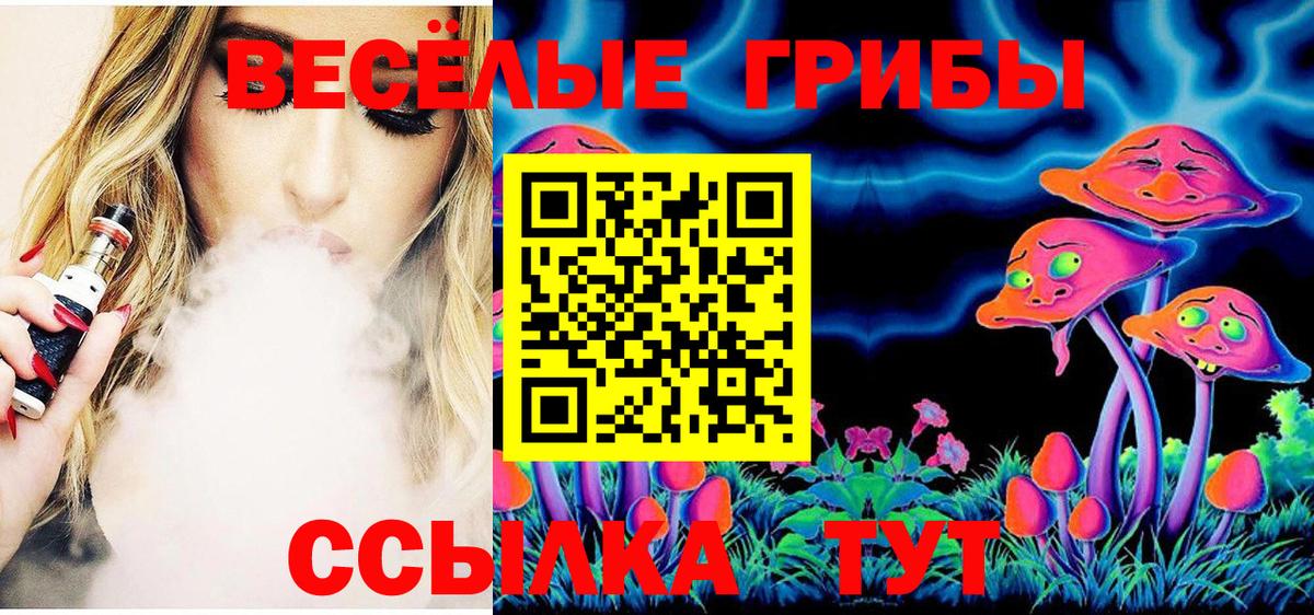 Псилоцибиновые грибы мицелий  Псилоцибиновые грибы Psilocybine cubensis  Киров  Вход с VPN 
