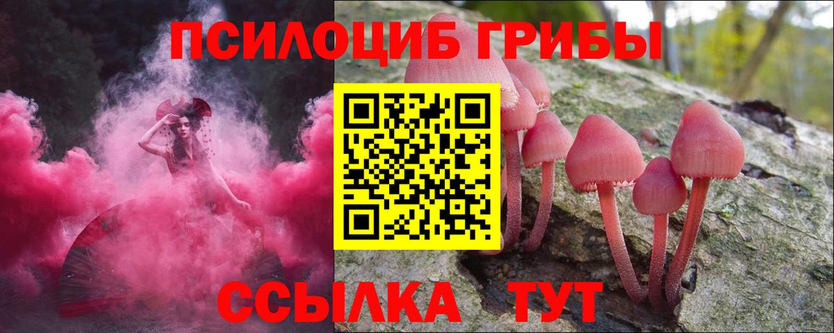 Галлюциногенные грибы Psilocybine cubensis Киров