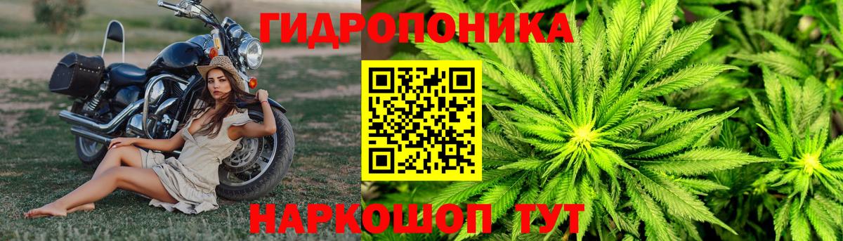 Киров  Канабис White Widow  Шишки марихуана марихуана  Вход с VPN  Каннабис OG Kush 